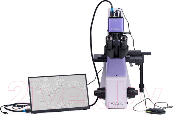Изображение товара Микроскоп цифровой Magus Bio VD300 LCD / 83013