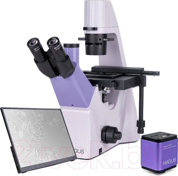 Изображение товара Микроскоп цифровой Magus Bio VD300 LCD / 83013
