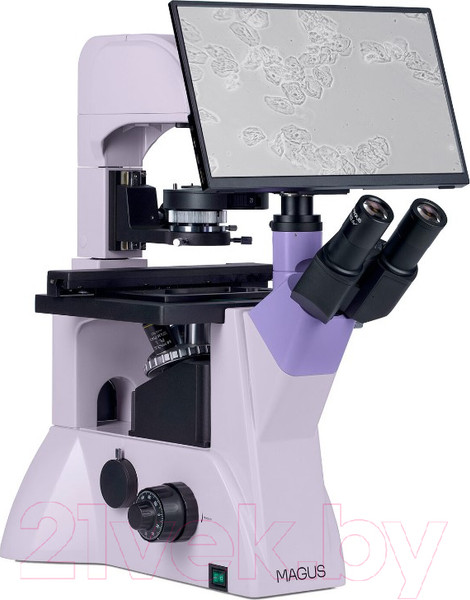 Изображение товара Микроскоп цифровой Magus Bio VD350 LCD / 83015