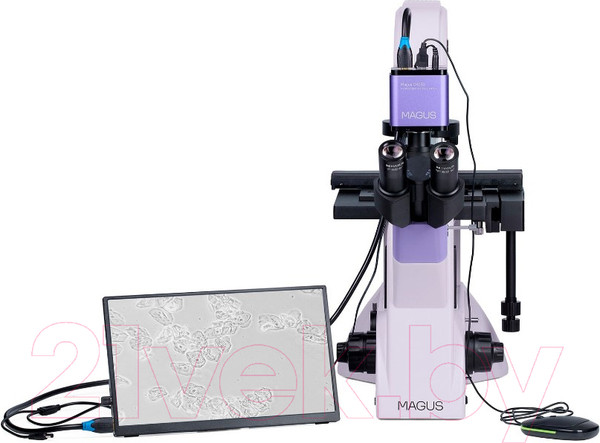 Изображение товара Микроскоп цифровой Magus Bio VD350 LCD / 83015