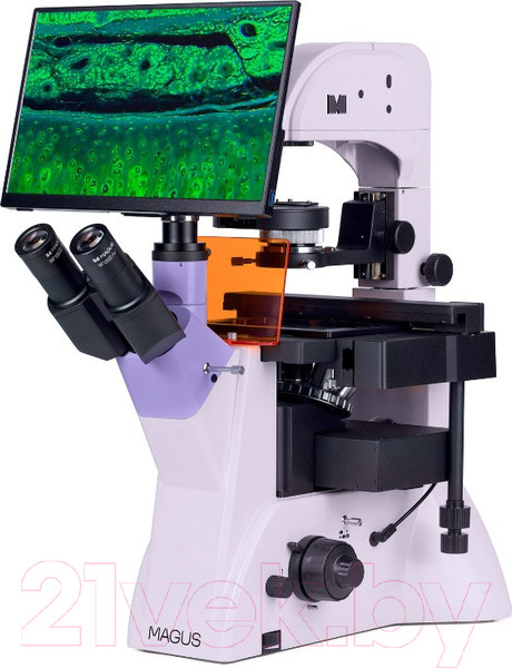 Изображение товара Микроскоп цифровой Magus Lum VD500L LCD / 83023