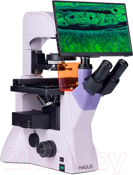 Изображение товара Микроскоп цифровой Magus Lum VD500L LCD / 83023
