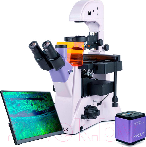 Изображение товара Микроскоп цифровой Magus Lum VD500L LCD / 83023