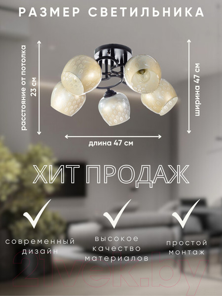 Изображение товара Люстра Aitin-Pro НПБ 02-5x60-101 / 70182/5 (черный)