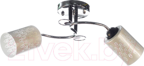 Изображение товара Потолочный светильник Aitin-Pro НПБ 02-2x60-101 / 70180/2 (хром/черный)