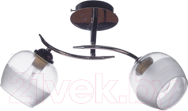 Изображение товара Потолочный светильник Aitin-Pro НПБ 02-2x60-101 / 70162/2 (хром/черный)