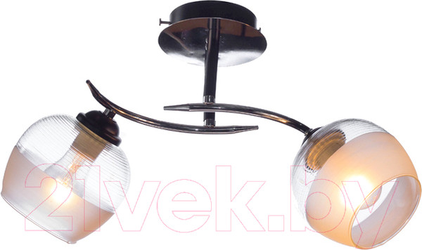 Изображение товара Потолочный светильник Aitin-Pro НПБ 02-2x60-101 / 70162/2 (хром/черный)