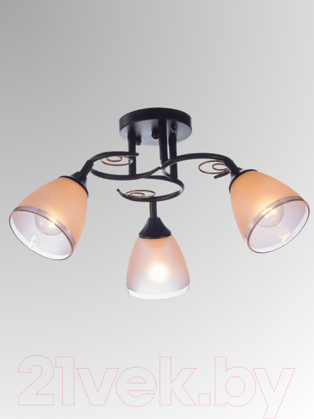 Изображение товара Люстра Aitin-Pro НПБ 02-3x60-101 / 70140/3 (черный)