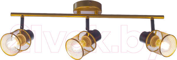 Изображение товара Потолочный светильник Aitin-Pro НПБ 02-3x60-102 / 51988/3 (золото/черный)
