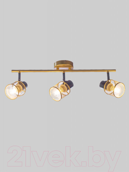 Изображение товара Потолочный светильник Aitin-Pro НПБ 02-3x60-102 / 51988/3 (золото/черный)