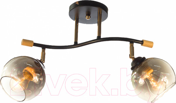 Изображение товара Спот Aitin-Pro НПБ 02-2x60-101 / XA1588B/2 (черный/золото)