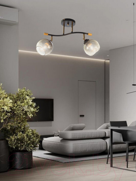 Изображение товара Спот Aitin-Pro НПБ 02-2x60-101 / XA1588B/2 (черный/золото)