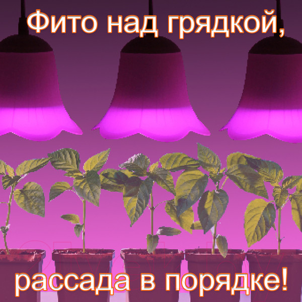 Изображение товара Светильник для растений Элетех Фито ННБ 63-60-017 Е27 / 1005404621