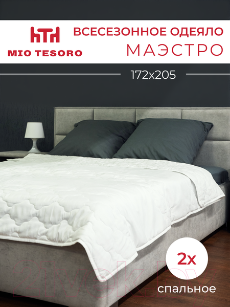 Изображение товара Одеяло Mio Tesoro Маэстро 172х205