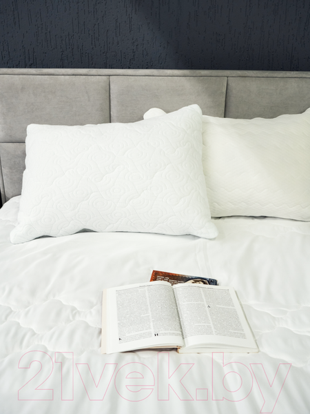 Изображение товара Одеяло Mio Tesoro Маэстро 220х205