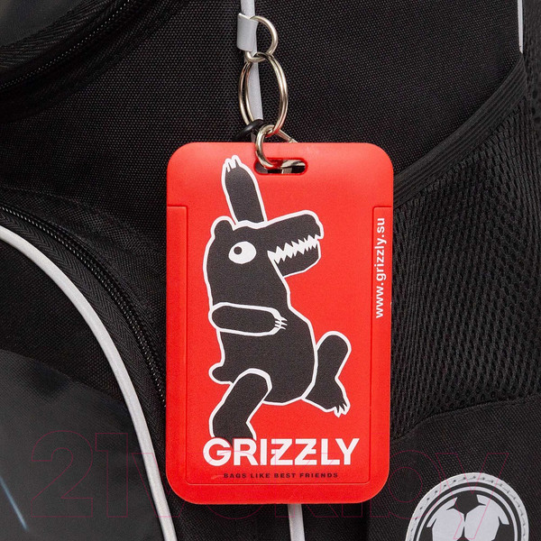 Изображение товара Школьный рюкзак Grizzly RAm-485-5 (черный)
