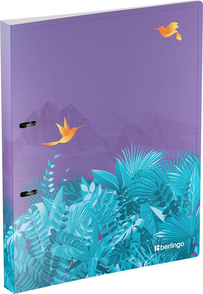 Изображение товара Папка для бумаг Berlingo Flower Art / RB4_2DS20