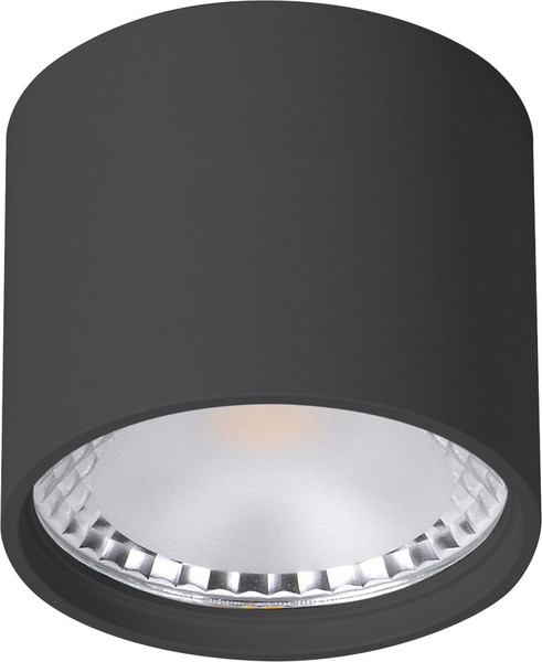 Изображение товара Точечный светильник Wertmark WTA.O02.607.V0.07