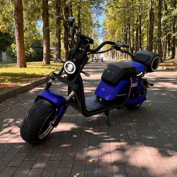 Изображение товара Электроскутер Smart Balance Sport (синий)