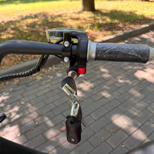 Изображение товара Электроскутер Smart Balance Sport (синий)