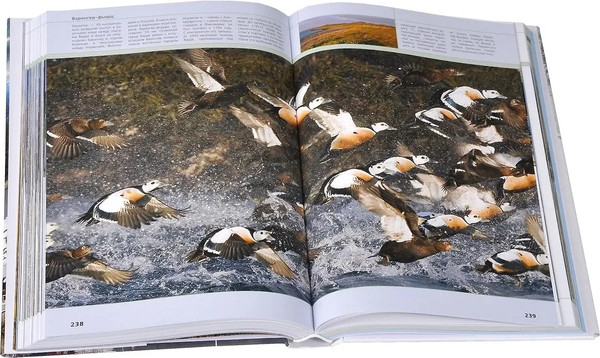 Изображение товара Путеводитель Рипол Классик Лучшие маршруты Скандинавии, твердая обложка