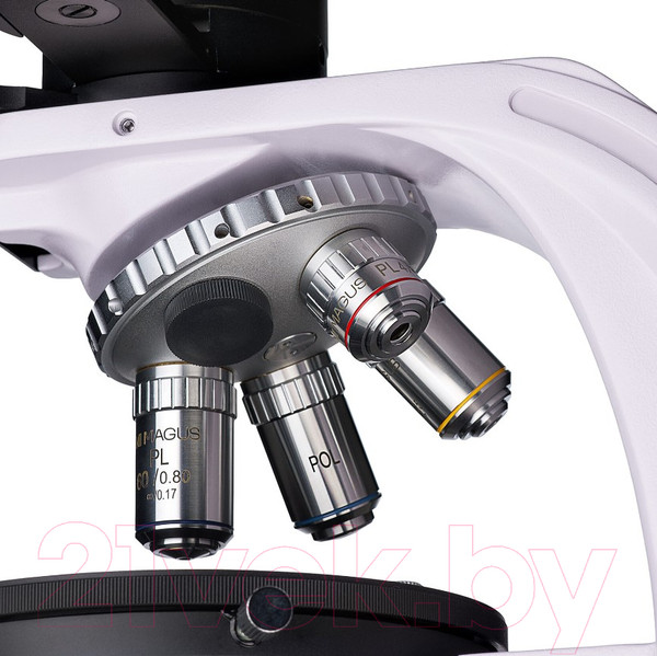 Изображение товара Микроскоп цифровой Magus Pol D800 LCD / 83041