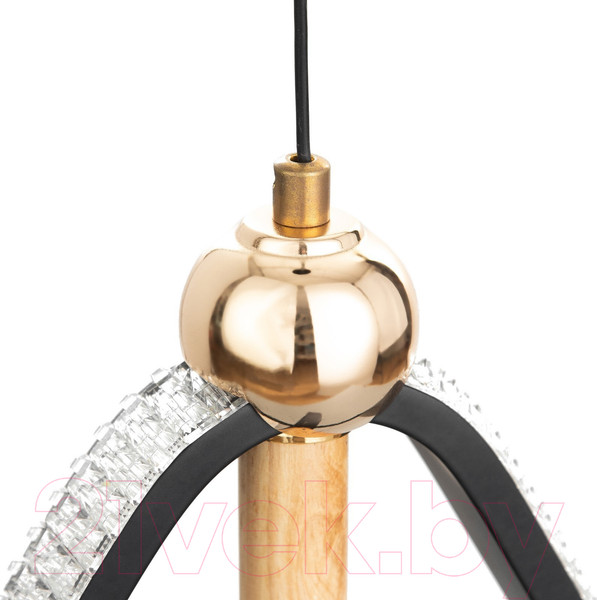 Изображение товара Потолочный светильник BayerLux Сел / 9227356 (черный)