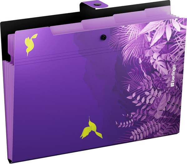 Изображение товара Папка для бумаг Berlingo Flower Art / XF4_05S20