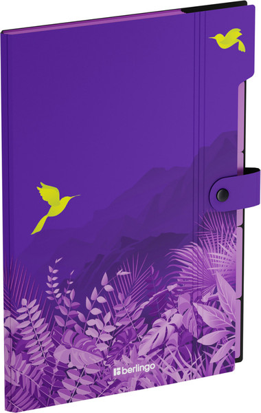 Изображение товара Папка для бумаг Berlingo Flower Art / XF4_05S20