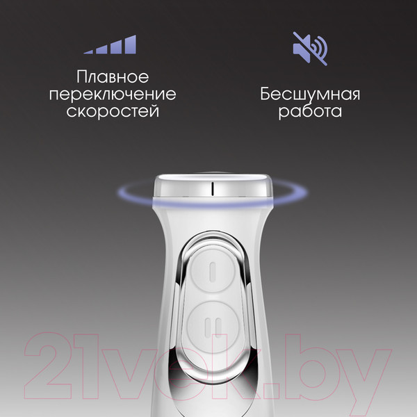 Изображение товара Блендер погружной Zigmund & Shtain BH-244 M