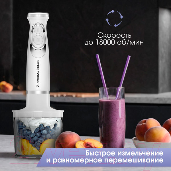 Изображение товара Блендер погружной Zigmund & Shtain BH-244 M