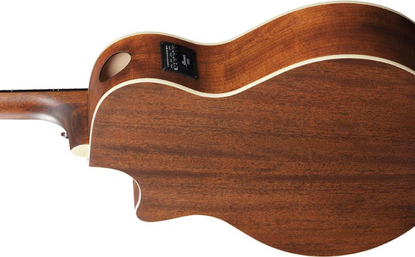 Изображение товара Электроакустическая гитара Ibanez AE100-BUF (винный)