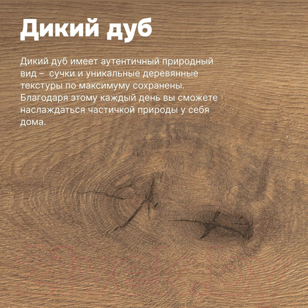 Изображение товара Прикроватная тумба Dipriz Дольче Вита с ящиком Д.1495.1 (дикий дуб/дуб масло)