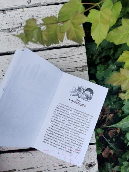 Изображение товара Книга МИФ Путешествие в Древляндию / 9785002146277 (Росес Е.)