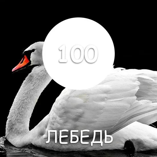 Изображение товара Краска MaXima резиновая №100 Лебедь (1кг)