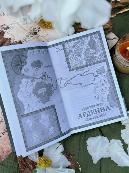 Изображение товара Книга МИФ Наследие Рэйны. Дорога к себе / 9785002145294 (Ласкина З., Рубинчик Д.)