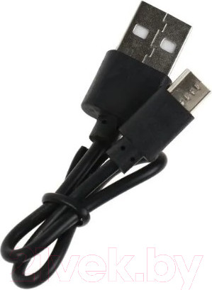 Изображение товара Наушники детские Ergolux ELX-BTHP02-C02 (черный)