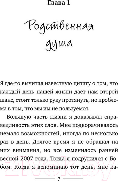 Изображение товара Художественная книга Рипол Классик Уличный кот по имени Боб / 9785386106386 (Боуэн Дж.)