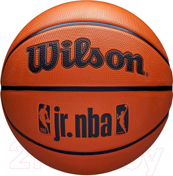 Изображение товара Баскетбольный мяч Wilson JR. NBA DRV Fam Logo / WZ3013001XB7 (размер 7)