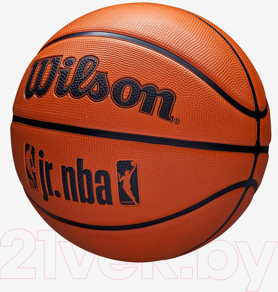 Изображение товара Баскетбольный мяч Wilson JR. NBA DRV Fam Logo / WZ3013001XB7 (размер 7)