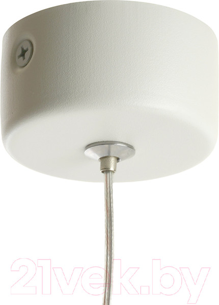 Изображение товара Потолочный светильник Feron HL4548 / 48748