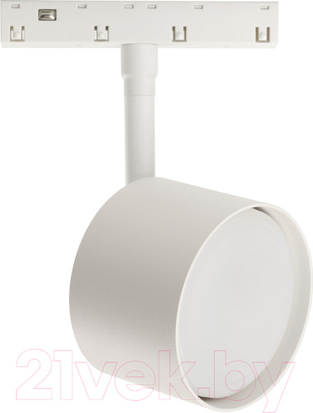 Изображение товара Трековый светильник Feron AL119 / 48726