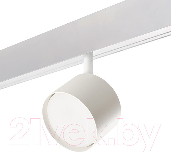 Изображение товара Трековый светильник Feron AL119 / 48726