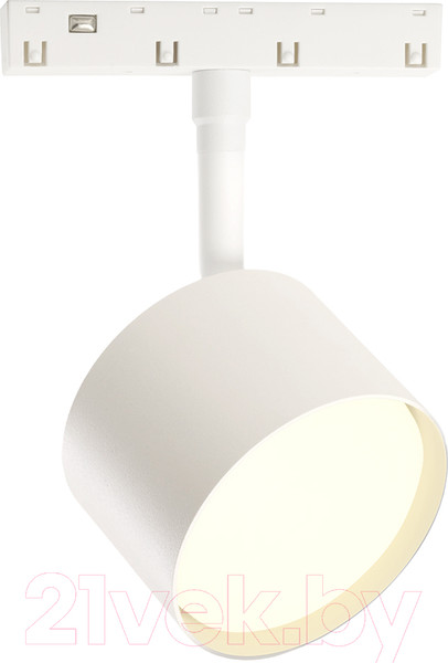 Изображение товара Трековый светильник Feron AL119 / 48726