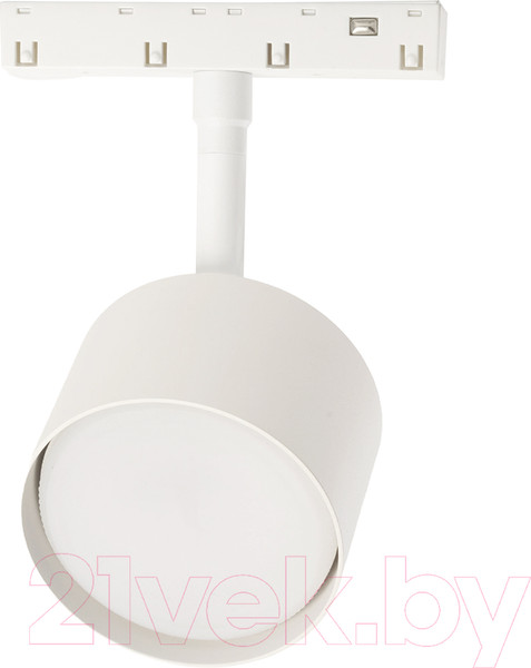 Изображение товара Трековый светильник Feron AL119 / 48726