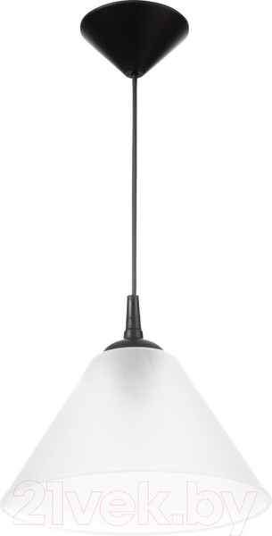 Изображение товара Потолочный светильник BayerLux Конус / 9175856 (черный/прозрачный)
