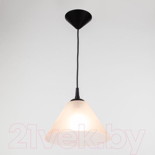 Изображение товара Потолочный светильник BayerLux Конус / 9175856 (черный/прозрачный)