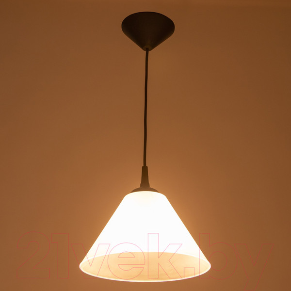 Изображение товара Потолочный светильник BayerLux Конус / 9175856 (черный/прозрачный)