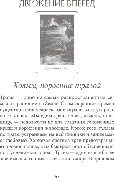 Изображение товара Гадальные карты Попурри Оракул божественного предназначения / 4810764007179 (Линн Д.)
