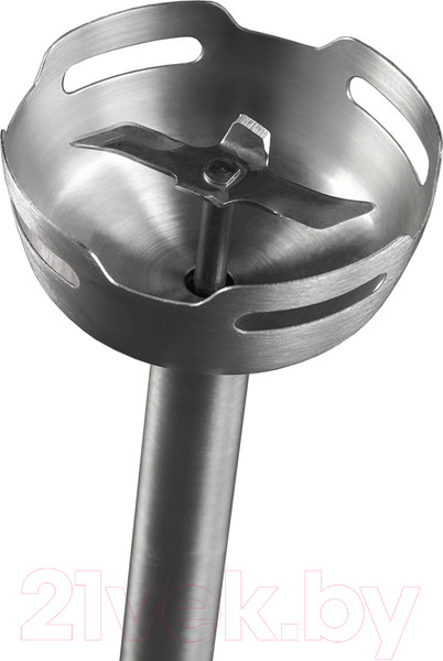 Изображение товара Блендер погружной Garlyn HB-C